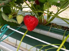 Te2843223̃Xgx[K[f@܂ւ̓eʐ^1