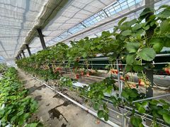 Te2843223̃Xgx[K[f@܂ւ̓eʐ^2