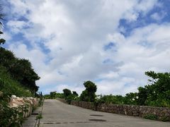 ߎq̃}T|[g^Ch{Âւ̓eʐ^5