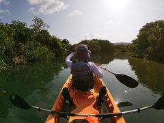 ƍK̐\Jk[cA[̂тՂՂûՂvւ̓eʐ^1