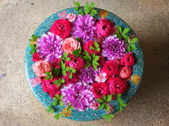 jR񂳂̈bώRւ̓eʐ^1