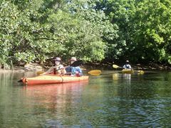 Ȃ̐\AWcA[KAGUYAւ̓eʐ^1