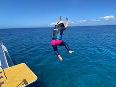 TierrǎcǊ(P})C攼cA[X@OPGւ̓eʐ^1