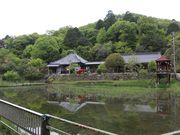 �������̐������̓��e�ʐ^3