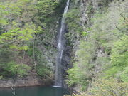 P񂳂̉ڂ̒݋̓eʐ^1