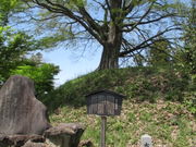 �W���E�[����̔���隬�̓��e�ʐ^1