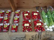 ̓̉w 悪񂷔̓eʐ^4