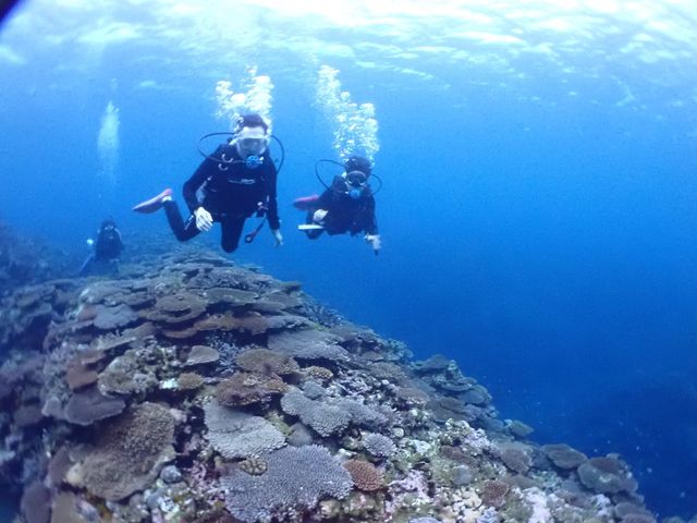 �q�r�L����@��Ɍ�납�猩����Ē������肪�Ƃ��I_�V�[�W���b�N�_�C�u�t�@�~���[