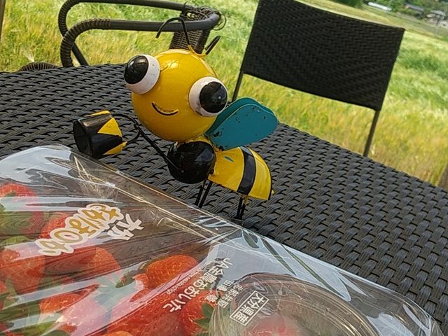 �������A��p�������ƂȂ��̐�����_Farm U.S.A