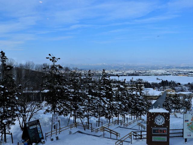 ��ɖ����ꂽ���R���������A��]�Ɍ��Ċ������܂����B
_���R������