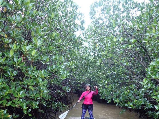 ������SUP_�ɂ�����̂����ȐΊ_��