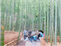 julia����̃~���N���~�z�̊��q�U���c�A�[�ւ̓��e�ʐ^1