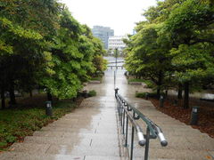 �g�V���[����̒��萅�ӂ̐X�����ւ̓��e�ʐ^1