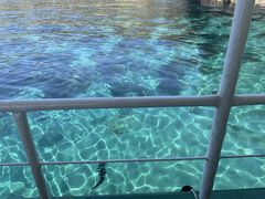 �\�o�����V���D�E�ޖ�߂���̎ʐ^1