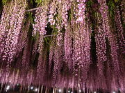 yosshŷt[p[N̓eʐ^2