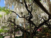 yosshŷt[p[N̓eʐ^5