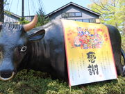 yosshỹ_CjOLb` É[ǂ̓eʐ^2