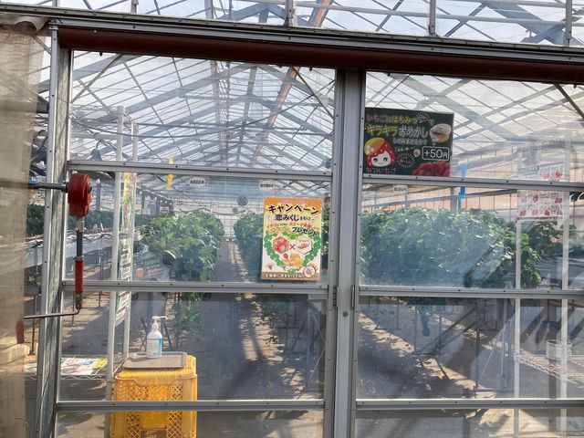 �͖{�t�@�[����������_�͖{�t�@�[����������