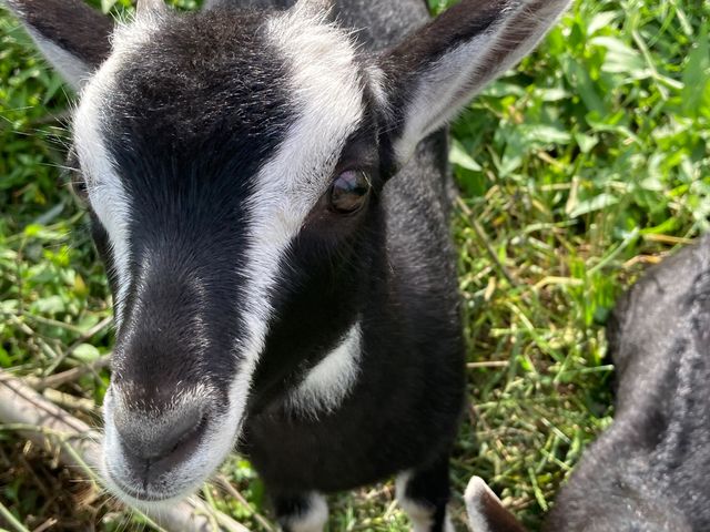 �͖{�t�@�[����������_�͖{�t�@�[����������