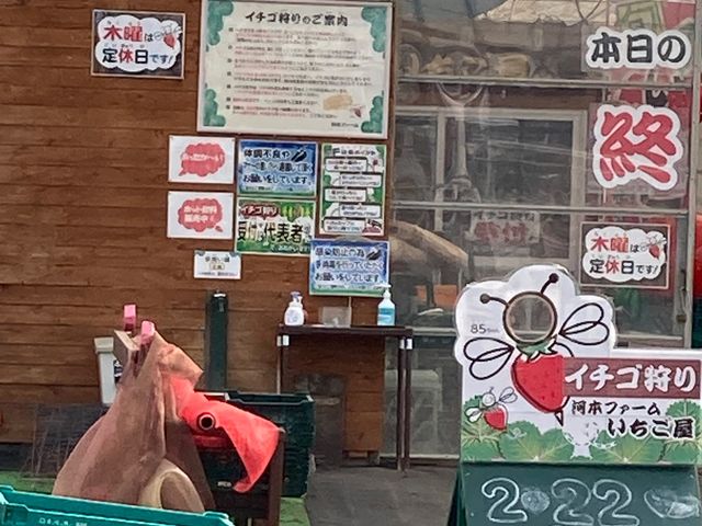 �͖{�t�@�[����������_�͖{�t�@�[����������