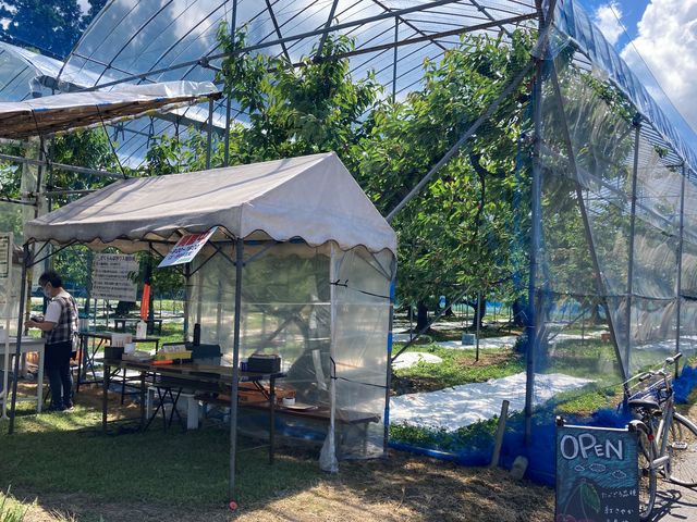 2022N64Bejuʎvڎt
_ʎ