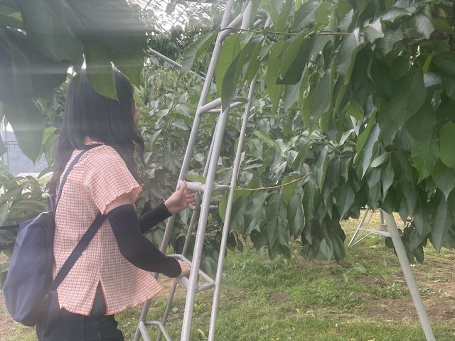 �r���œo��܂�_�܂����уt�@�[��