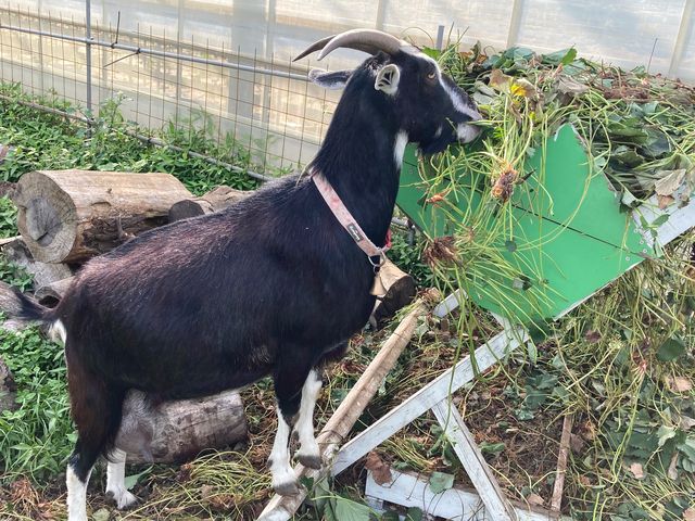 �͖{�t�@�[����������_�͖{�t�@�[����������