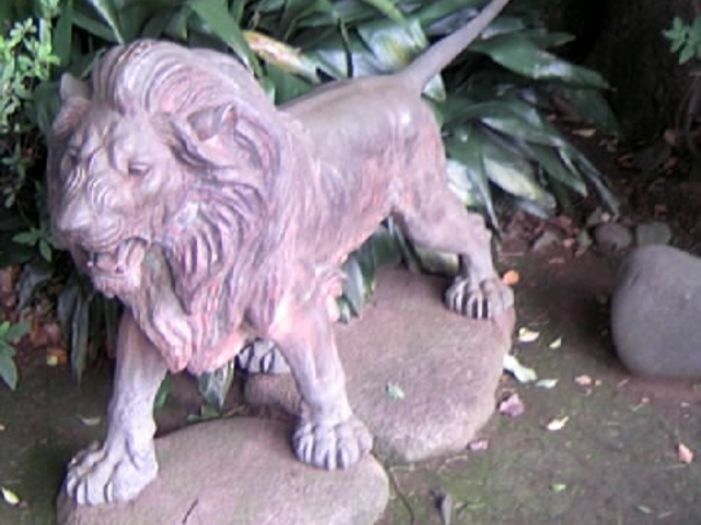 ze~nɂ郉CIH_{뉀izej[I[^jj