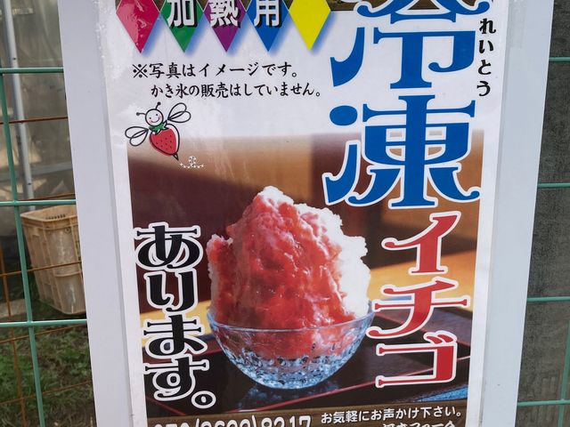 �͖{�t�@�[����������_�͖{�t�@�[����������