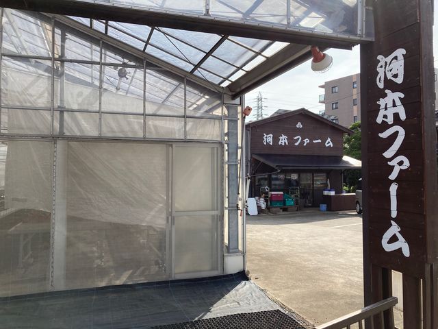 �͖{�t�@�[����������_�͖{�t�@�[����������