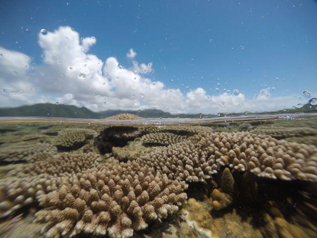 �T���S�����肾������I_���S�Ґ��_�C�r���O�X�N�[�����܂�