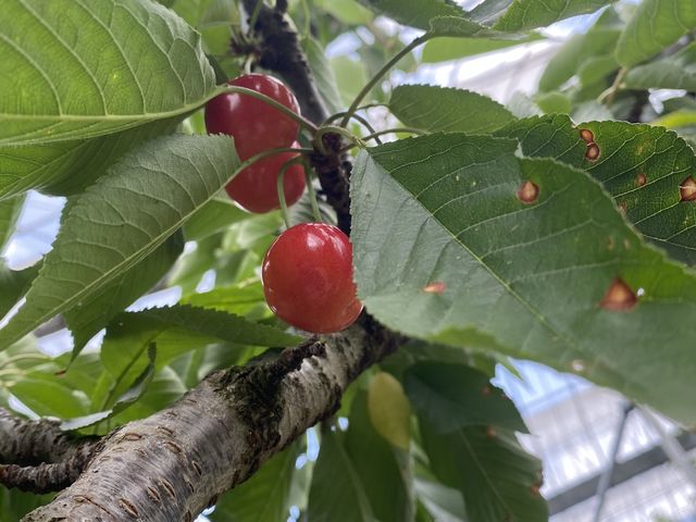 �ƂĂ��݂��݂������Ă������������ł��I_�܂����уt�@�[��