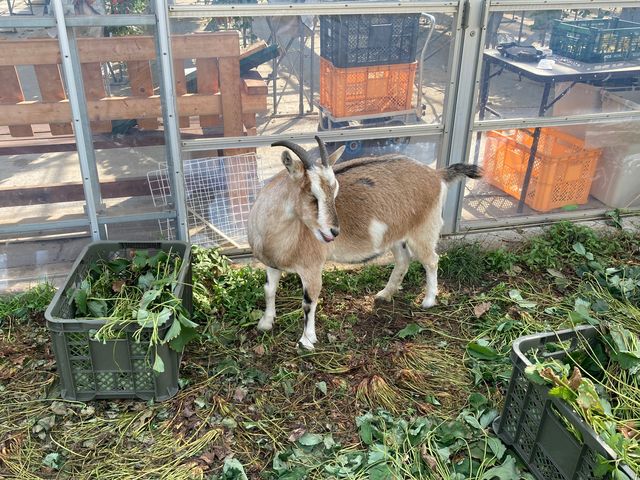 �͖{�t�@�[����������_�͖{�t�@�[����������