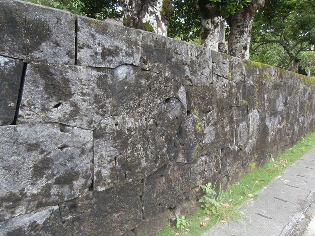 �_�C�L������̖����Ƃ̓��e�ʐ^2