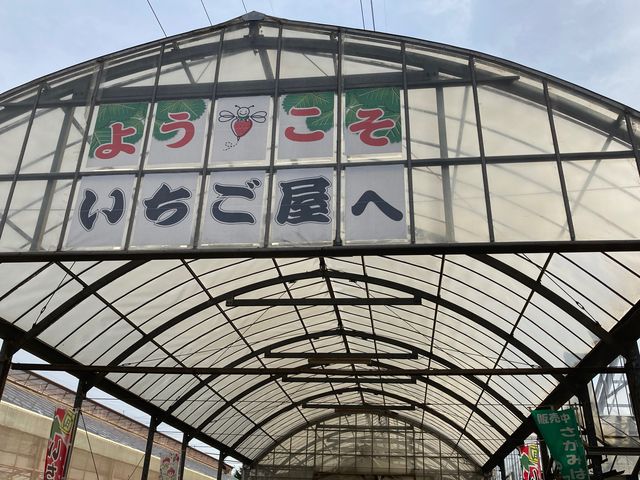 �͖{�t�@�[����������_�͖{�t�@�[����������