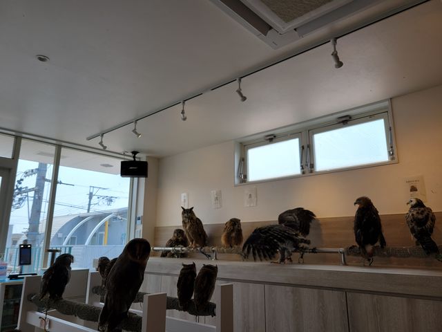 �X���̕��͋C_�ӂꂠ���J�t�F ���ӂ肱����