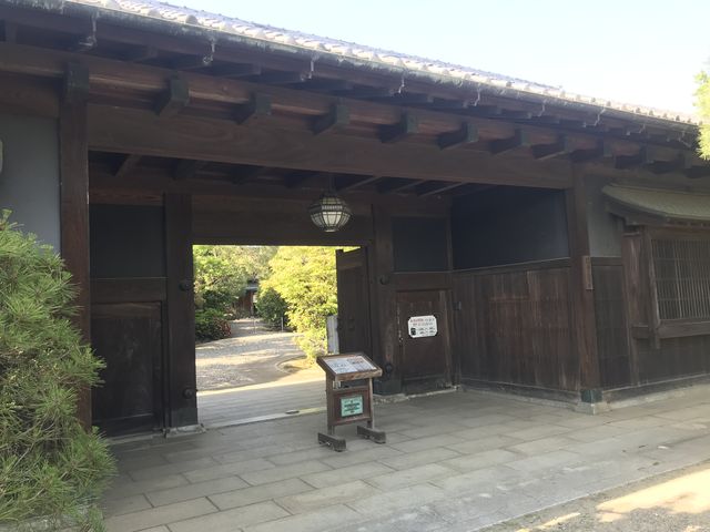 �����̒�����_���R�L�O�فi���p�فj