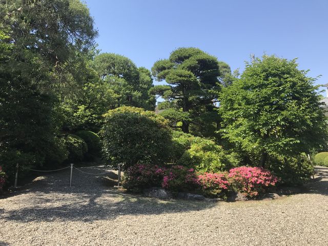 ����_���R�L�O�فi���p�فj