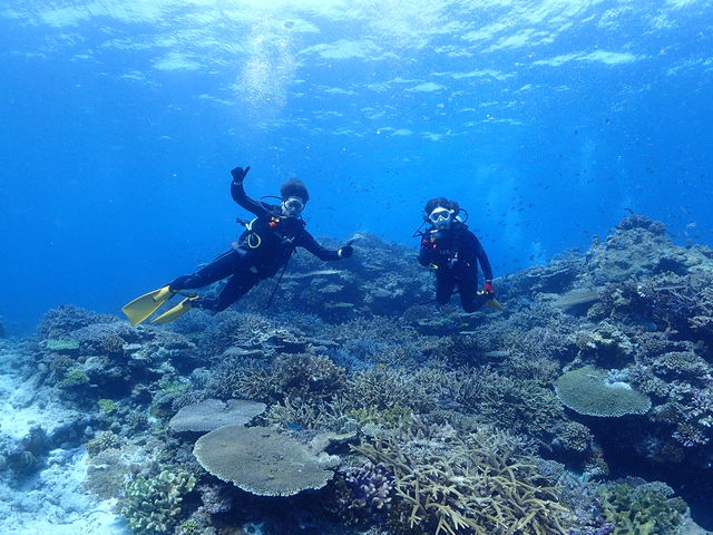 �f�G�Ȏʐ^�����肪�Ƃ��������܂��I_R-MATES Okinawa Diving Club