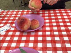 ݂݂̌_O[vnEXւ̓eʐ^1