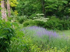 Ђ񂳂ȍ oN CObV K[fւ̓eʐ^1