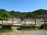 Ђ낳̒WĤЂnNu̓eʐ^2