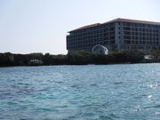 jkammy07����̃n�C�A�b�g ���[�W�F���V�[ ���Ǌ_�A�C�����h ����̓��e�ʐ^15