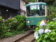 ニコちゃんさんの江ノ島電鉄の投稿写真1