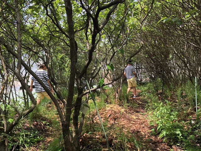 �q�ǂ��B�͂ǂ�ǂ�i��ł������ǁA��l�͒����Ŏ}�����������Ȃ���c_�Ђ���u���[�x���[�K�[�f��