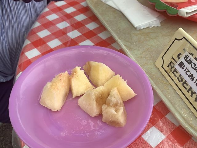 T[rX̓͗₽ĊÂIIiŔ܂j_O[vK[fS_