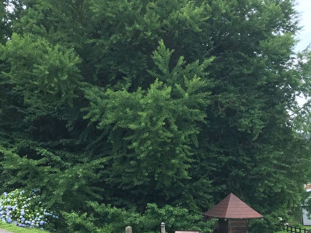 ���{��̑�C�`���E_�k���P��̑�C�`���E