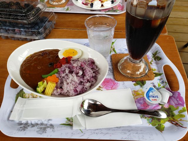 �u���[�x���[�����̂܂ܓ������Ì��J���[_�s�R�u���[�x���[�_��