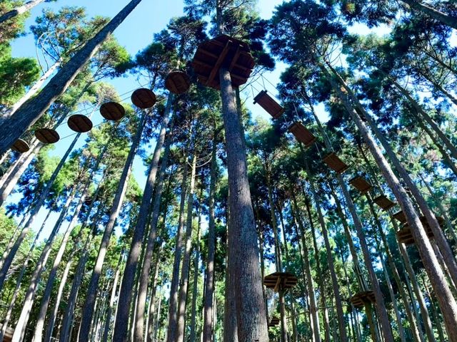 �A�h�x���`���[�R�[�X_�t�H���X�g�A�h�x���`���[��O�g�������