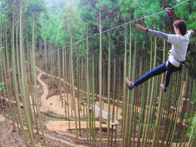 �W�b�v���C��_�t�H���X�g�A�h�x���`���[��O�g�������